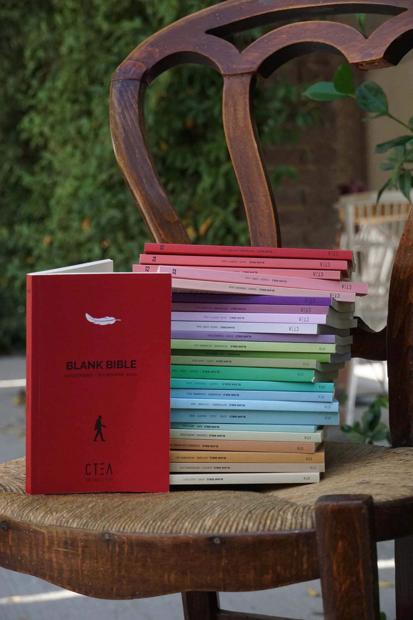 Suscripción Anual a Blank Bible